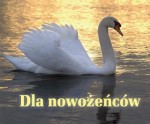 Dla nowożeńców. Perełka 198